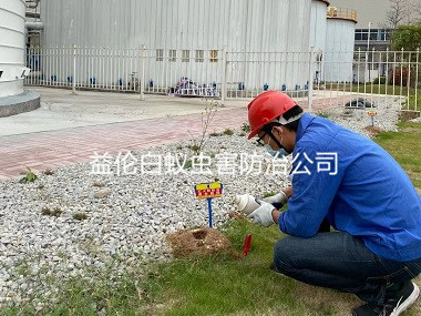 广州工业区防治红火蚁