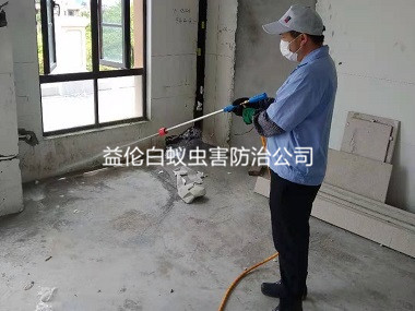广州房屋装修白蚁预防