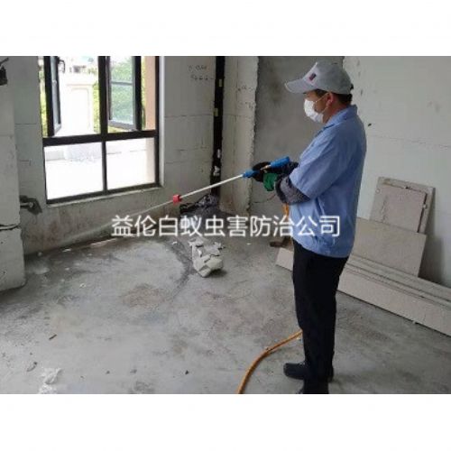 广州房屋装修白蚁预防