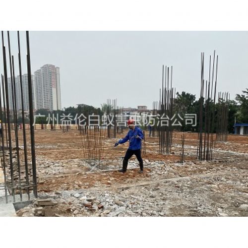 广州新建房屋工程预防白蚁