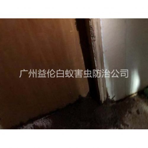 从化白蚁危害防治工程